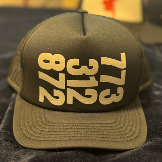 CHI AREAS SNAPBACK